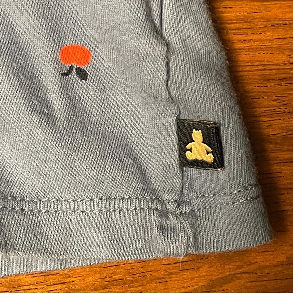 GAP Long Sleeve Blue Tee with Red apples. Size 2 years, 2T.